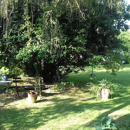 Les Roses Tremieres * Lezay