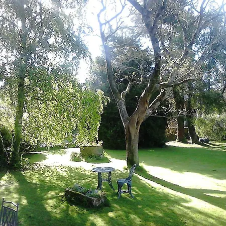 Les Roses Tremieres * Lezay