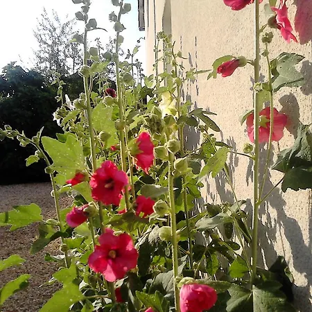 Les Roses Tremieres Ferienhaus Lezay