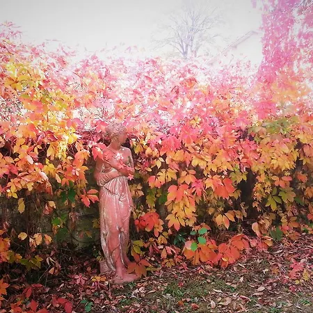 Les Roses Tremieres 펜션 *